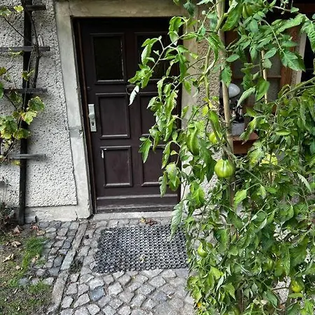 Mit Garten *