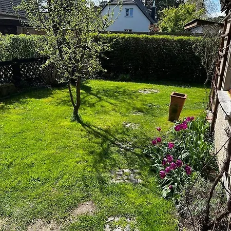 Mit Garten