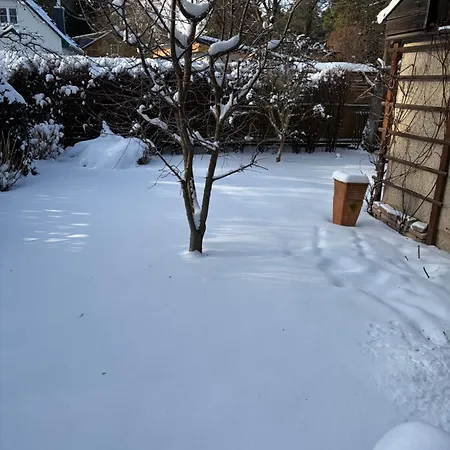 Mit Garten *