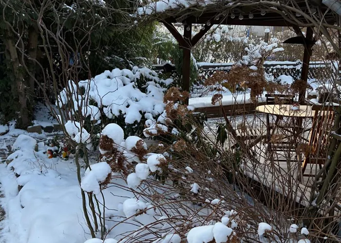 Lägenhet Mit Garten *